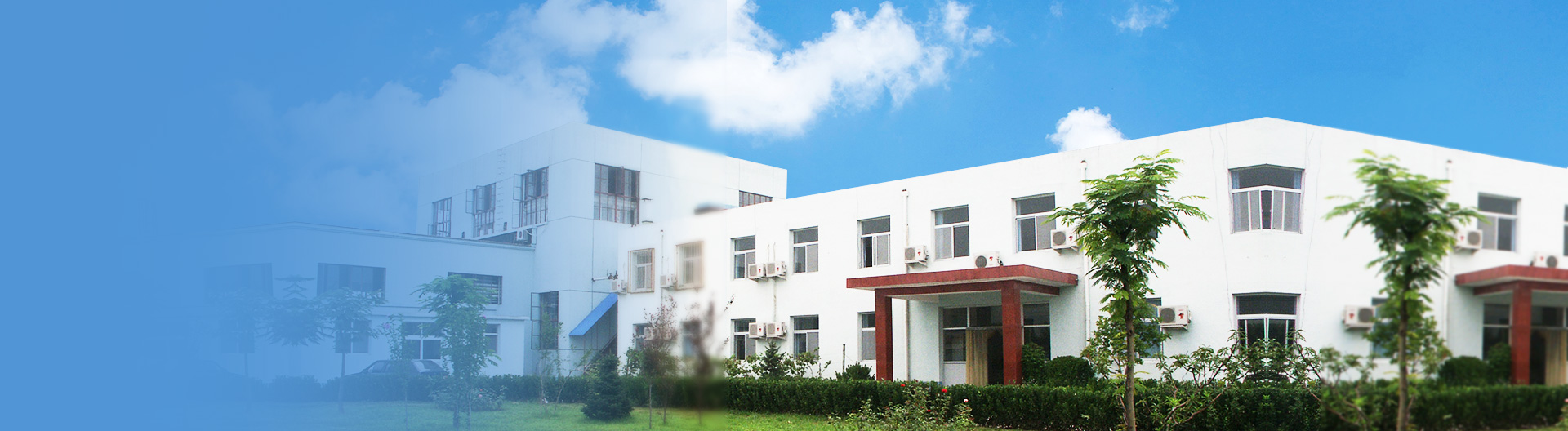 良好的战略合作关系