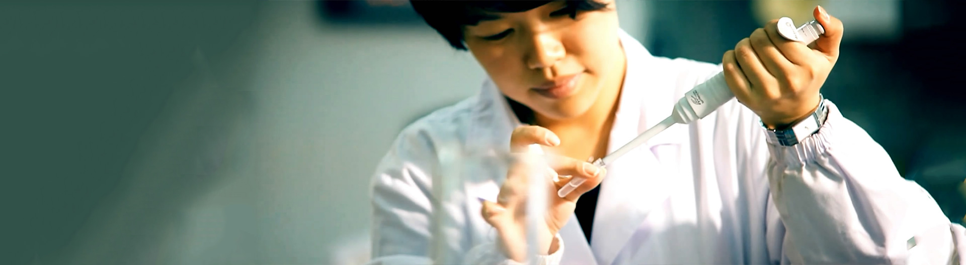 以知名专家为首